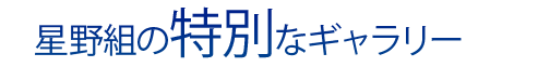 星野組の特別なギャラリー
